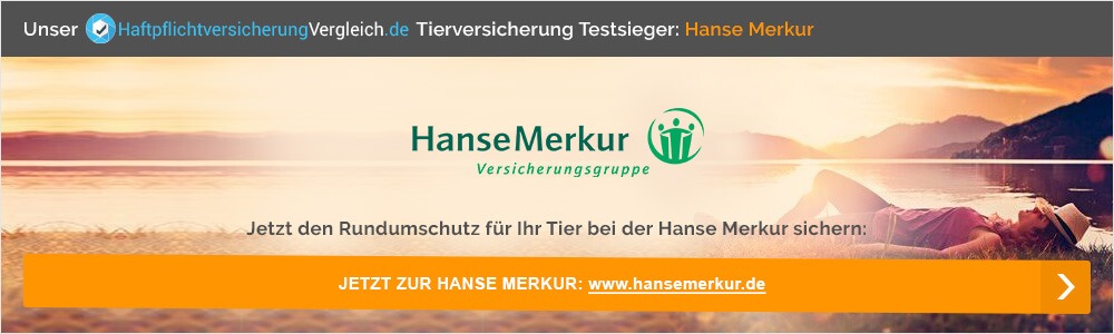 Jetzt Tierversicherung bei der Hanse Merkur abschließen.